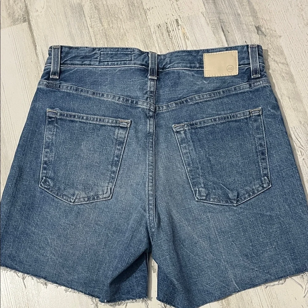 AG Adriano Goldschmied Clove Short High-Rise Baggy Fit Size 25 - Picture 5 of 12